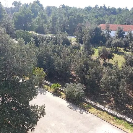 Vilma